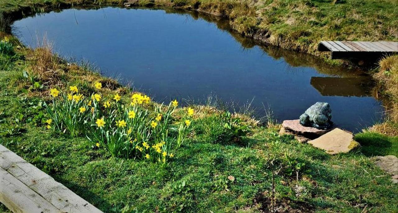 Peak District Cottage Set In 5 Acres Near Buxton Buxton  Kültér fotó